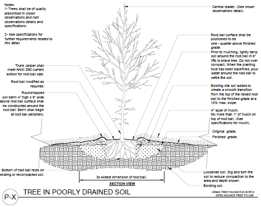 ANSI planting details and specifications for landscape designs