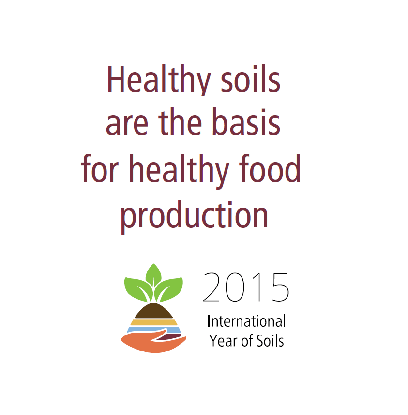 International Year of Soils