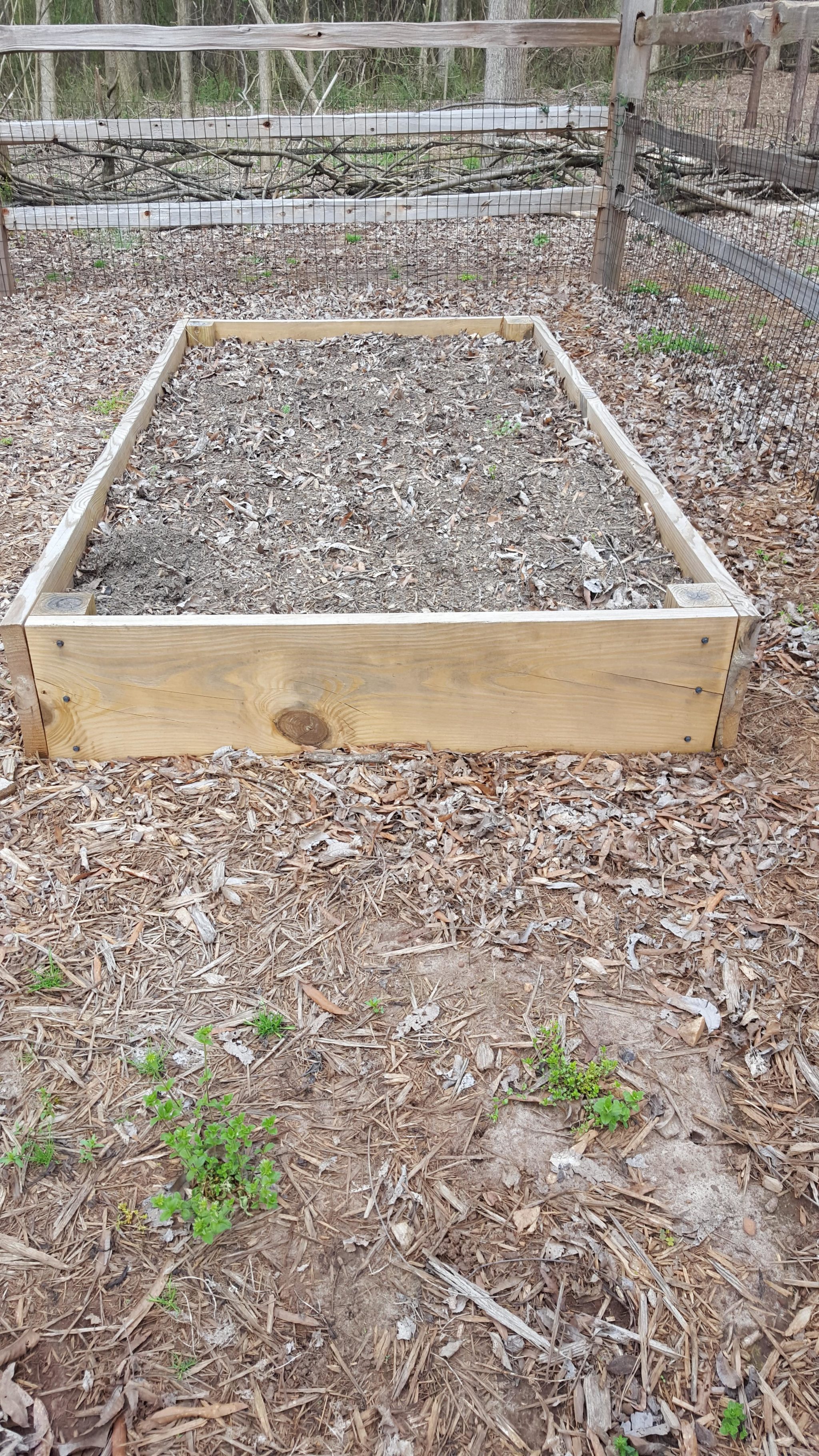 How much soil do you need to refill your raised beds?-A Guest Post by Steve Pettis