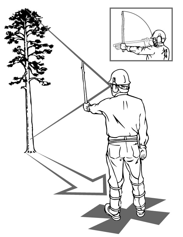 The Five Step Felling Plan - Step 1 - Heights, Hazards, and Lean